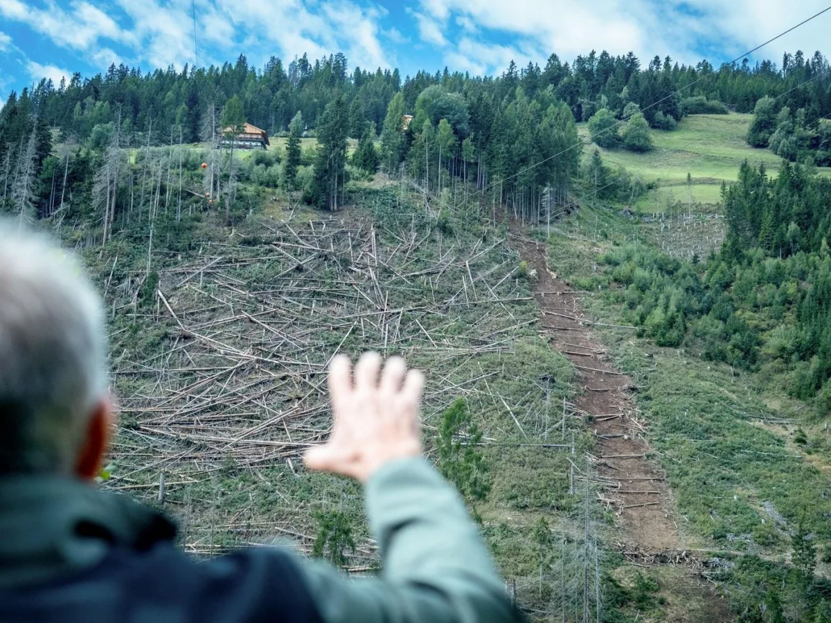 Schutzwald-Projekt in Tirol
