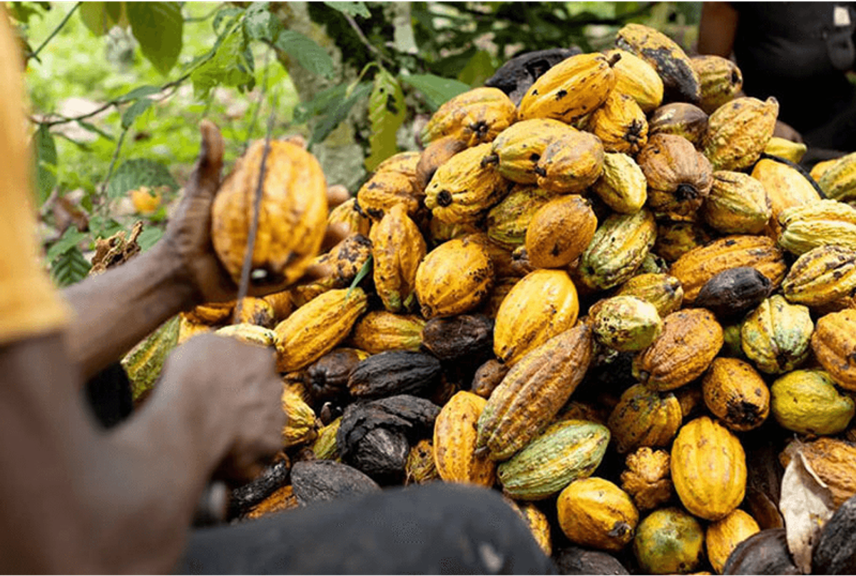 Ghana Raises $289 Million