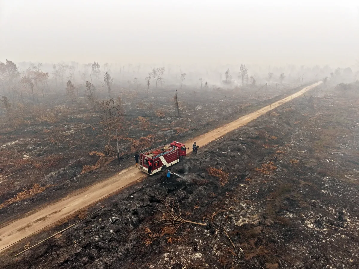 Indonesian Fires Linked to 20 Agricultural Companies