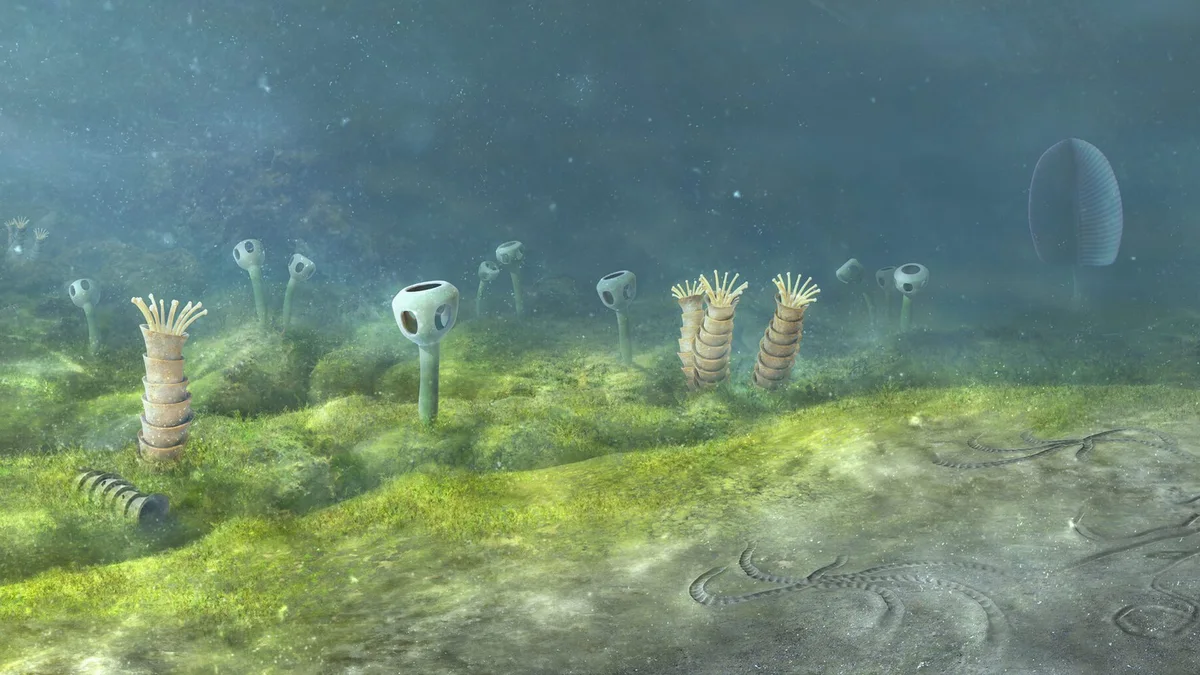 Animals May Be 200M Years Older