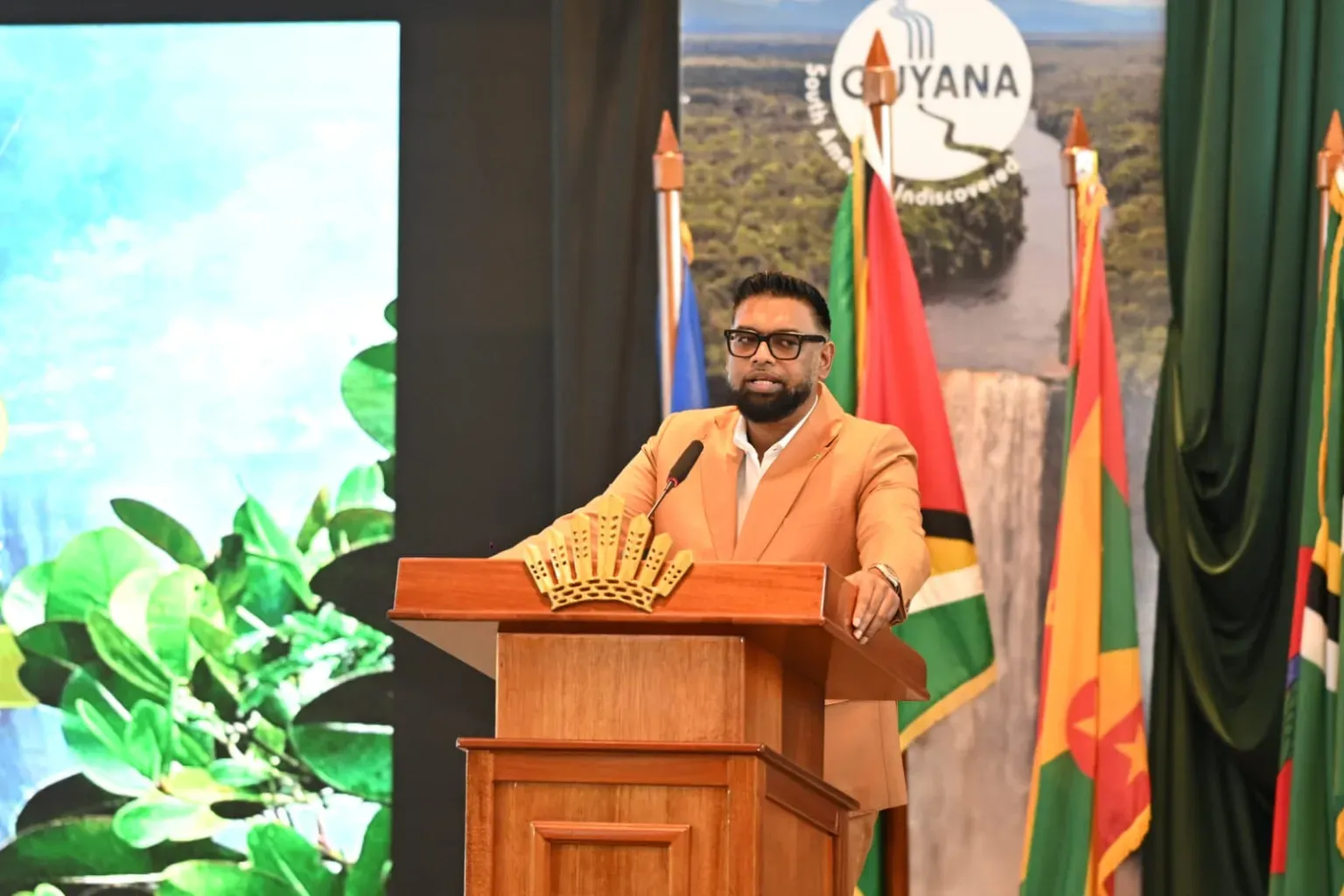 Guyana President Calls for Faster Digital Visas