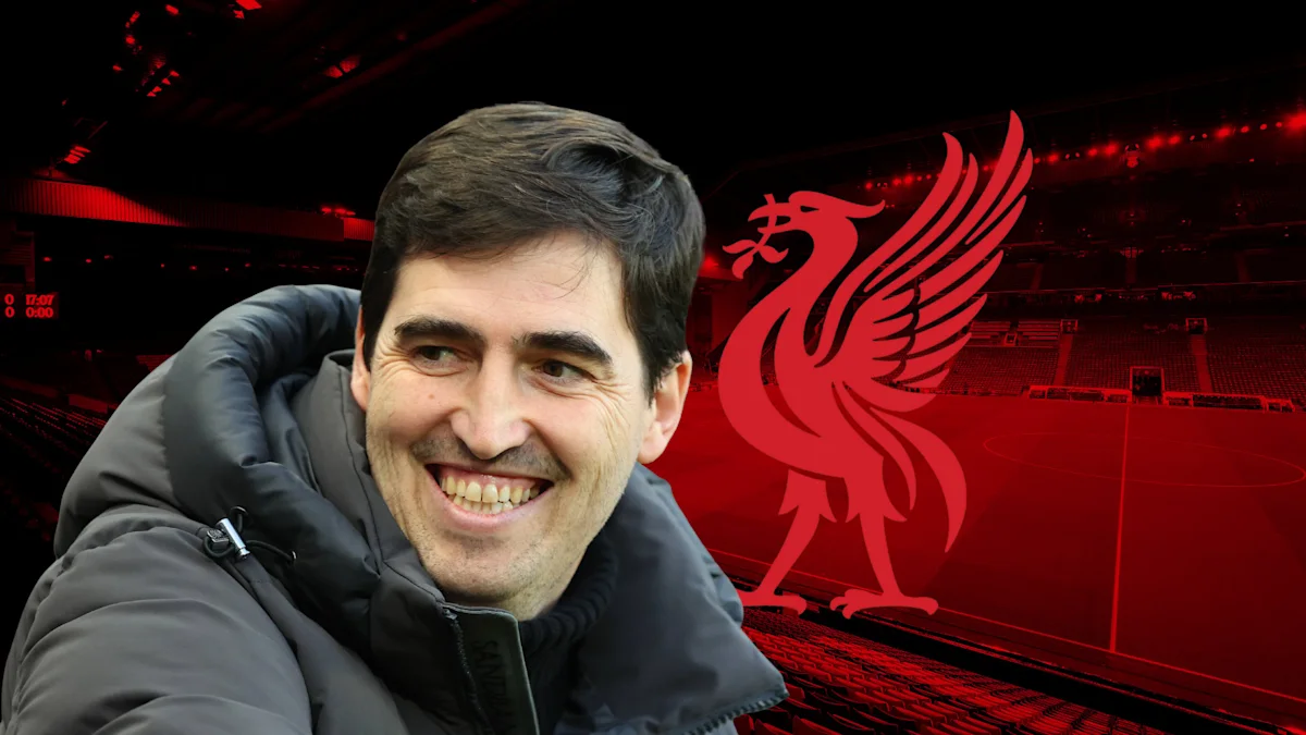Sensation Signs for Liverpool