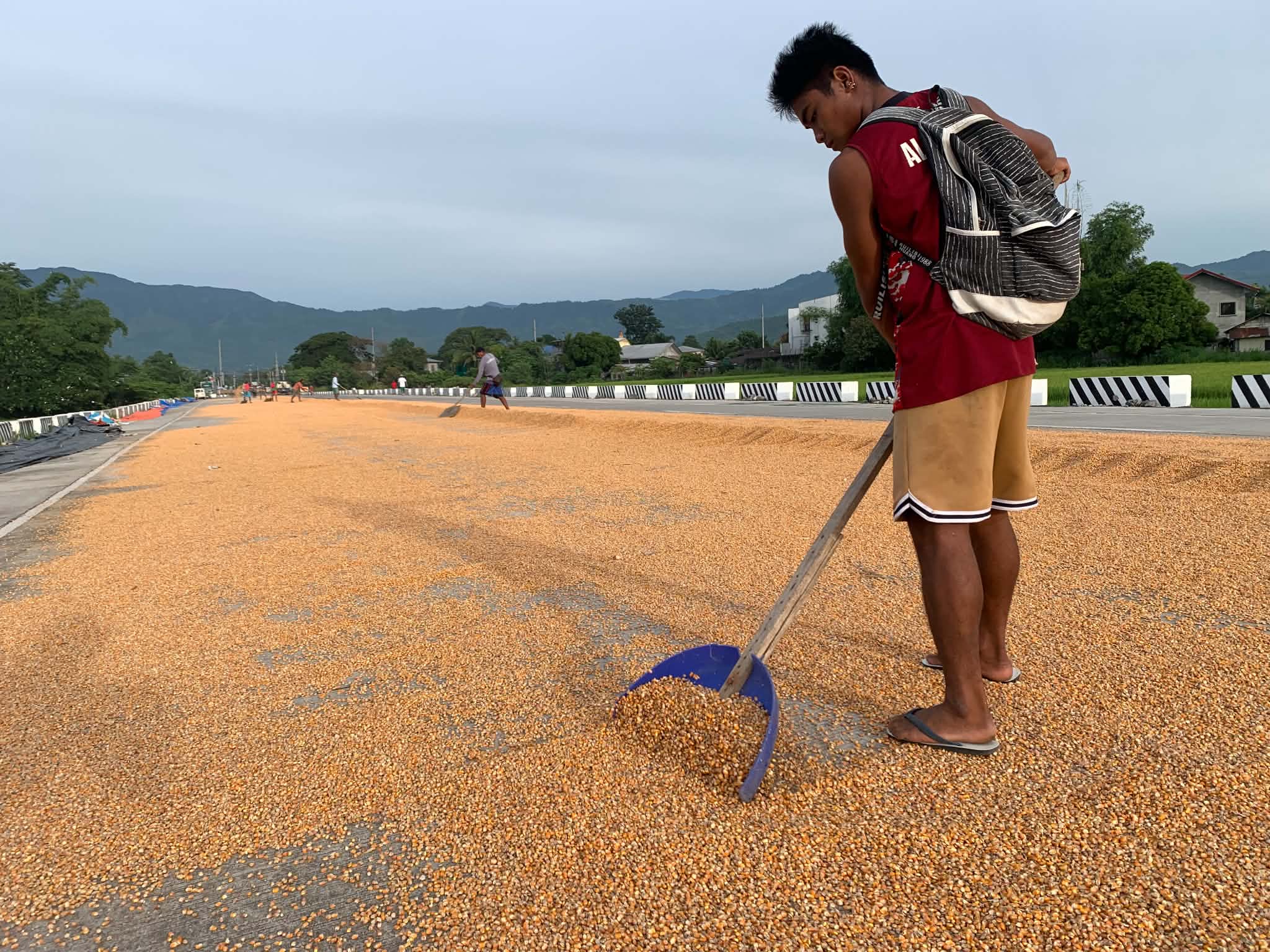 DA Seeks Higher Corn Import