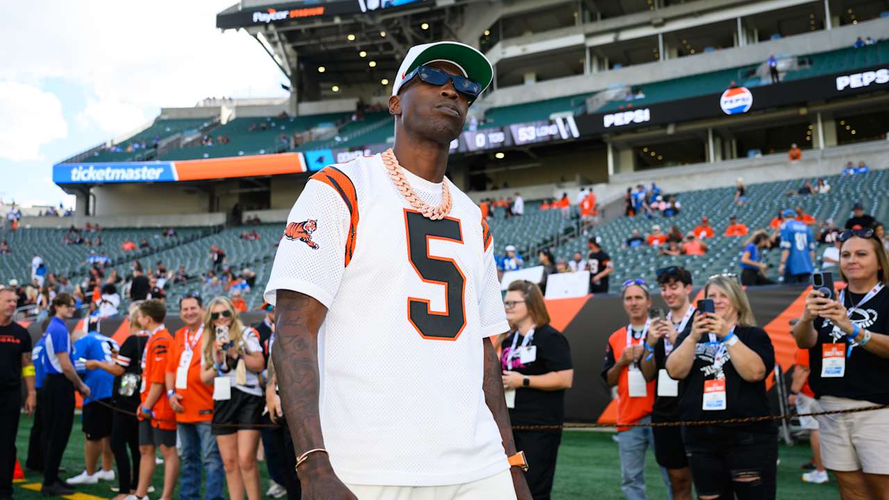 Chad Johnson soutient les Bengals