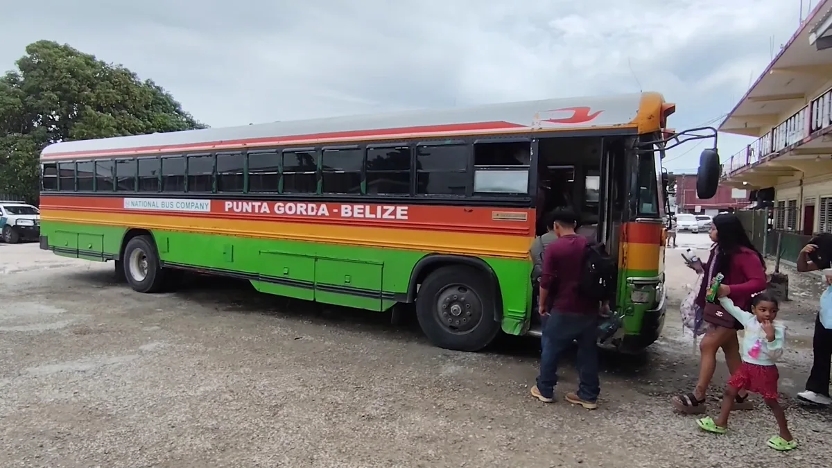 National Bus Co. Promises On-Time Service