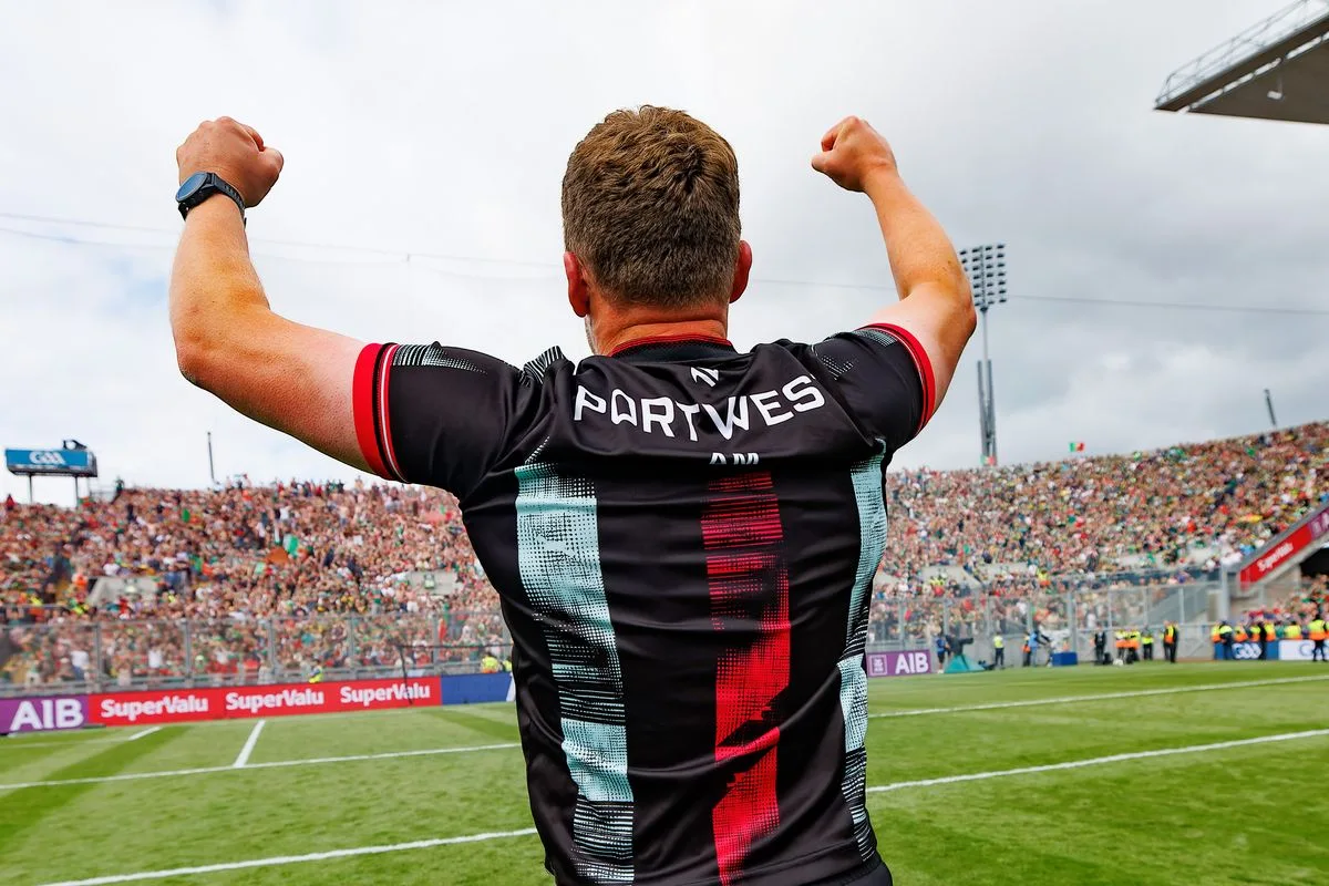 Moylan Stars for Ireland