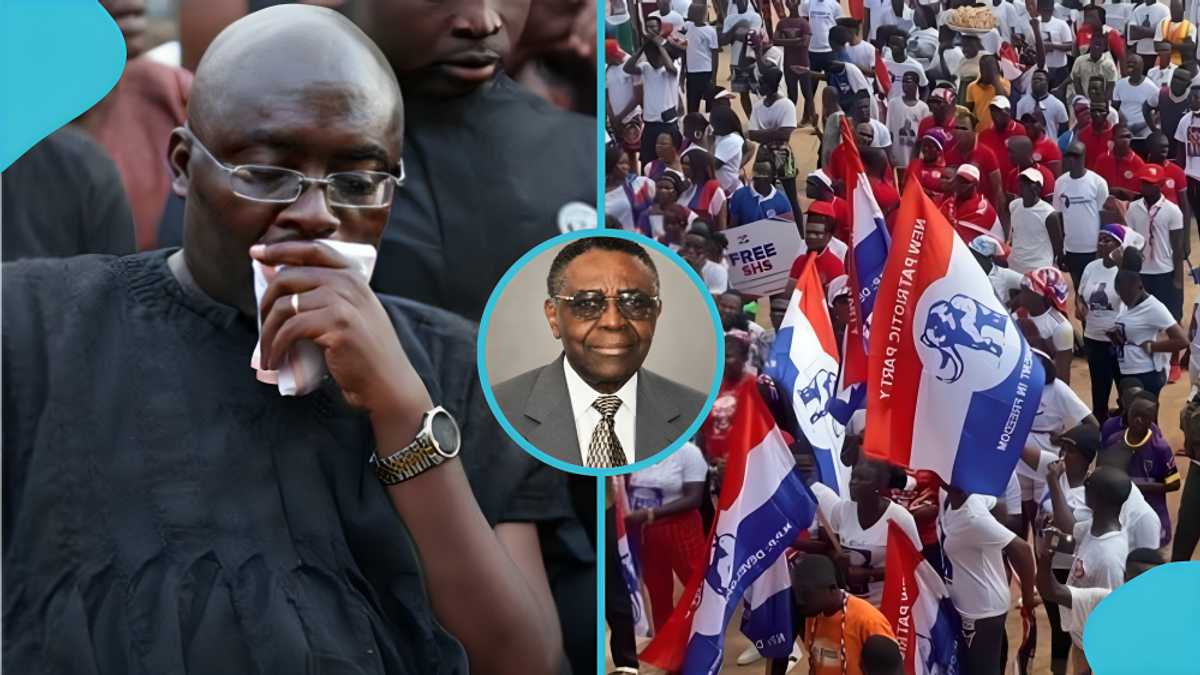 Ex-NPP Chairman Odoi-Sykes Dies